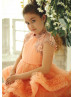 Salmon Ruffle Tulle Lace Appliques Flower Girl Dress